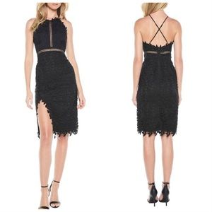 Bardot Tabytha Lace Halter Dress Black